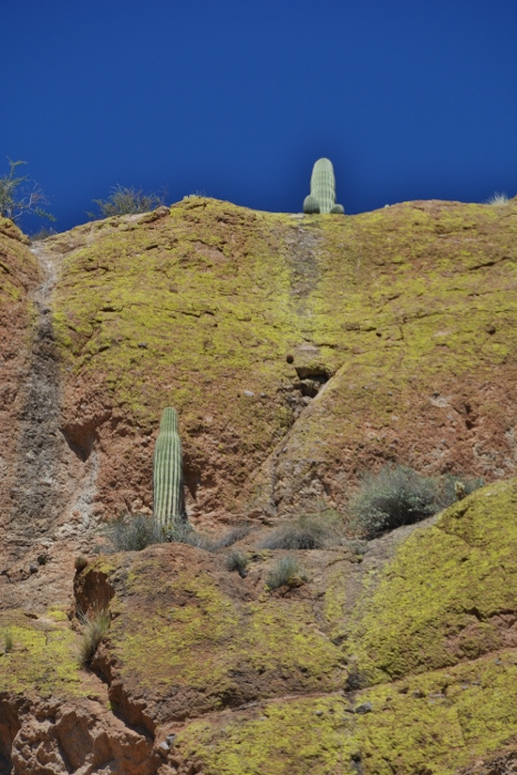 yellow cliffs tower over the lake